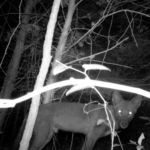 Lee Deigaard - I Heard You Calling Each to Each Lee Deigaard - I Heard You Calling Each to Each