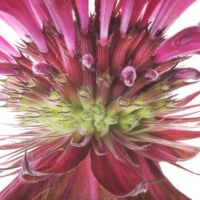 <a href="http://Robertllewellyn.com" target="_blank">Robert Llewellyn</a> Robert Llewellyn