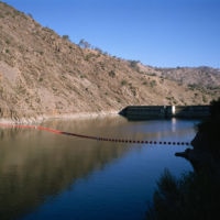 <a href="http://colleenmullins.net/" target="_blank">Colleen Mullins</a> Colleen Mullins