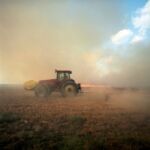 Kathleen Robbins - Burning Field robbins_kathleen_burningfield72