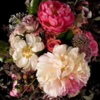 Phyllis Rose