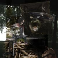 <a href="http://silentgimagery.com" target="_blank">Sharon Shero</a> Sharon Shero