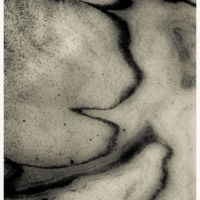 <a href="http://www.alanvlach.com" target="_blank">Alan Vlach</a> Alan Vlach