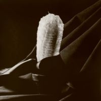 <a href="http://www.slavavlad.com" target="_blank">Slava Vlad</a> Slava Vlad