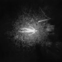 <a href="http://dmwitman.com/" target="_blank">Deanna Witman</a> Deanna Witman