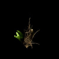 <a href="http://jyuanimages.info/" target="_blank">Jeff Yuan</a> Jeff Yuan