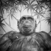 <a href="http://www.anneberrystudio.com" target="_blank">Anne Berry</a>