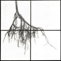 <a href="http://www.christabowden.com" target="_blank">Christa Bowden</a>