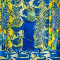 <a href="http://www.pattycarroll.com" target="_blank">Patty Carroll</a>