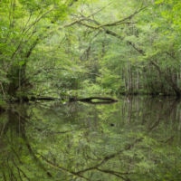 <a href="http://dougengart.com" target="_blank">Doug Eng</a>