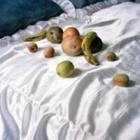 <a href="http://www.meggriffithsphotography.com" target="_blank">Meg Griffiths</a>