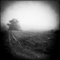 <a href="http://www.RalphHassenpflug.com" target="_blank">Ralph Hassenpflug </a>