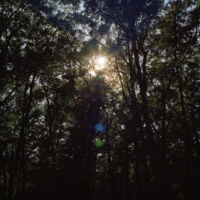 <a href="http://lisamccarty.com" target="_blank">Lisa McCarty</a>