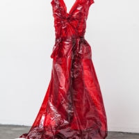 <a href="http://www.janeszabophotography.com" target="_blank">Jane Szabo</a>