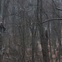 <a href="http://www.jpterlizziphotography.com" target="_blank">JP Terlizzi</a>