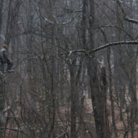 <a href="http://www.jpterlizziphotography.com" target="_blank">JP Terlizzi</a>