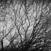 <a href="http://billvaccaro.com" target="_blank">Bill Vaccaro</a>