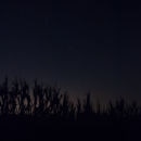 Jeanine Michna-Bales: Follow the Drinking Gourd
