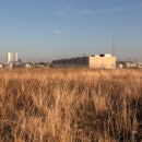 Jeanine Michna-Bales: