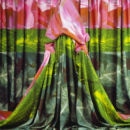 Patty Carroll - Lagoon