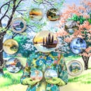 Patty Carroll - Platey