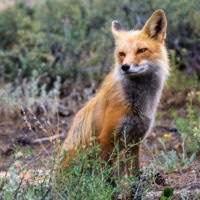 <a href="http://StephenRBarnes.com" target=blank>Stephen Barnes</a>