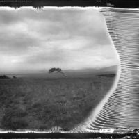 <a href="http://angelafarisbelt.com" target=blank>Angela Faris Belt</a>