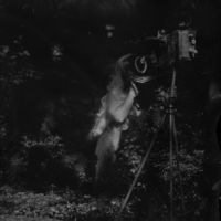 <a href="http://maryannemitchellphotography.com" target=blank>Mary Anne Mitchell</a>