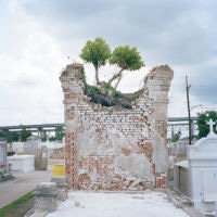 <a href="http://colleenmullins.com " target=blank>Colleen Mullins</a>