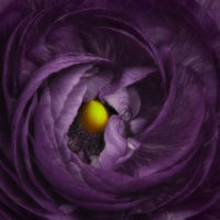 <a href="http://pegpalaskas.com " target=blank>Peg Palaskas</a>