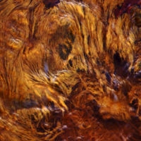 <a href="http://katarinparizek1.wixsite.com/photography " target=blank>Katarin Parizek</a>