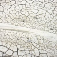 <a href="http://lisamrobinson.com " target=blank>Lisa M Robinson</a>