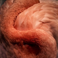 <a href="http://wendischneider.com " target=blank>Wendi Schneider</a>