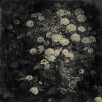 <a href="http://leewbass.com " target=blank>Lee W. Bass
</a>