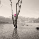 Christa Blackwood - Twin Lakes n17, from the series Prix West