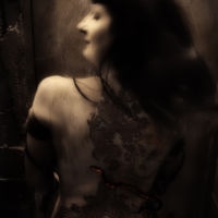 <a href="http://annbrandeis.com" target=blank>Ann Brandeis
</a>