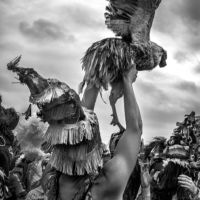 <a href="http://lafphoto.com.com " target=blank>Lucius Fontenot</a>