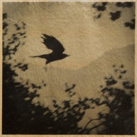 <a href="http://lashleylopez.com" target=blank>Rhonda Lashley Lopez</a>