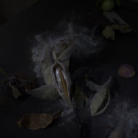 <a href="http://www.johnnysullivanphotography.com " target=blank>Johnny Sullivan</a>