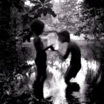 Fireflies, 1992