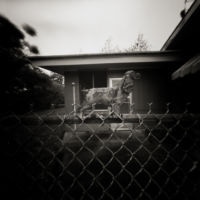 <a href="http://www.davidarmentor.com" target=blank>David Armentor</a>