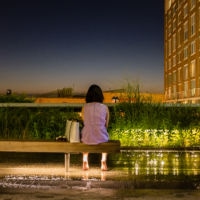 <a href="http://www.marcycohen.com" target=blank>Marcy Cohen</a>