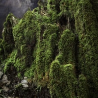 <a href="https://www.richardalancohen.com/" target=blank>Richard Cohen</a>