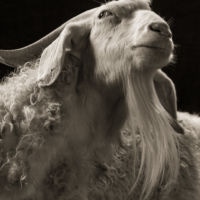 <a href="http://kevinhoran.com" target=blank>Kevin Horan</a>