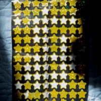 <a href="http://www.marcypalmer.com" target=blank>Marcy Palmer</a>