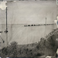 <a href="http://www.frankhamrick.com" target=blank>Frank Hamrick</a>