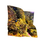 Land & Sea V ©Colleen Fitzgerald - Land & Sea V, from the series Stamina