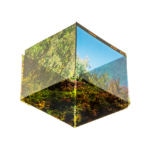 Land & Sea XIV ©Colleen Fitzgerald - Land & Sea XIV, from the series Stamina