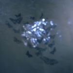 Cloud of an endless self @Meg Griffiths