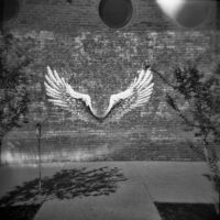 <a href="http://www.qwerkyphotography.com/" target=blank rel="noopener noreferrer">CB Adams</a>